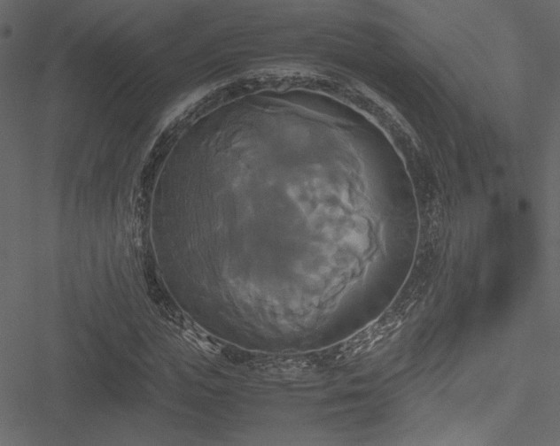 X0000051240823200506171108