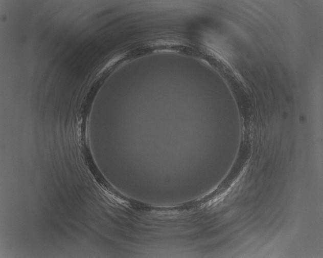 X0000051240825200506171108