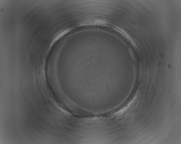 X0000051240826200506171108