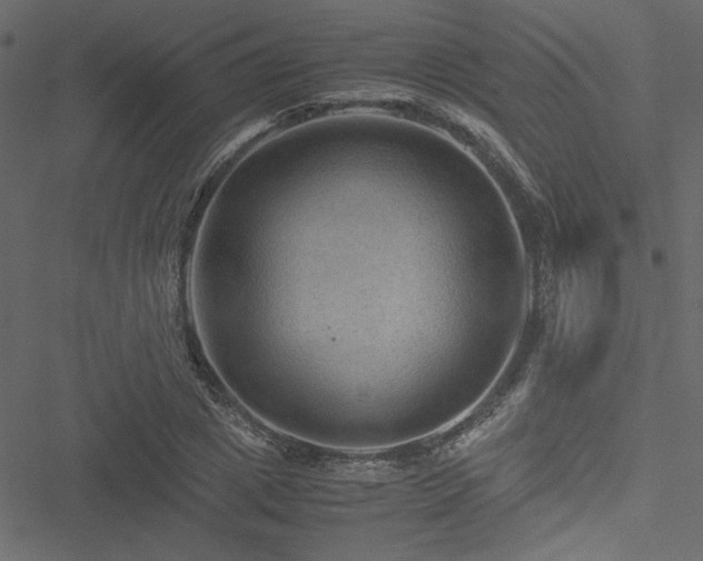 X0000051240833200506171108