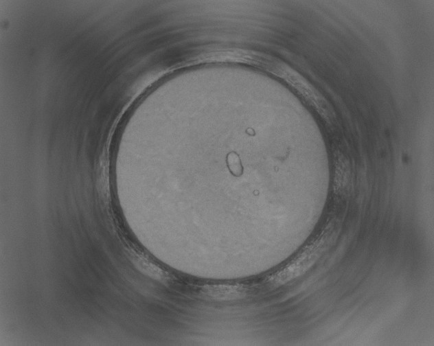 X0000051240836200506171108