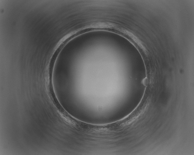 X0000051240837200506171108