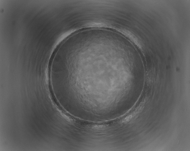 X0000051240839200506171108