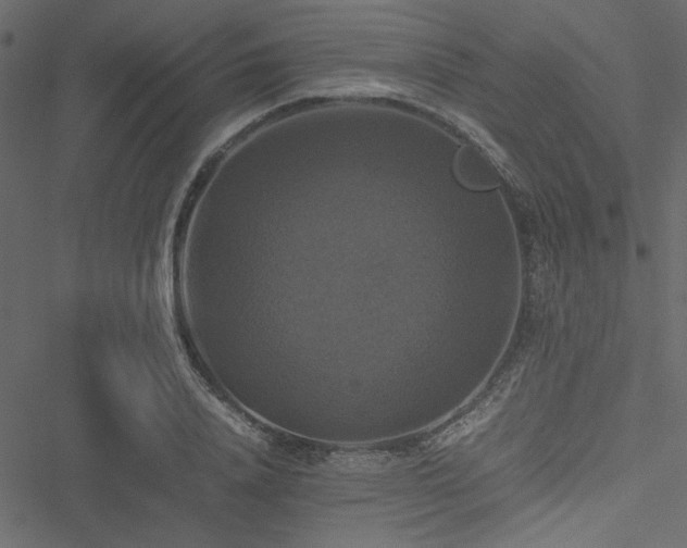 X0000051240840200506171108