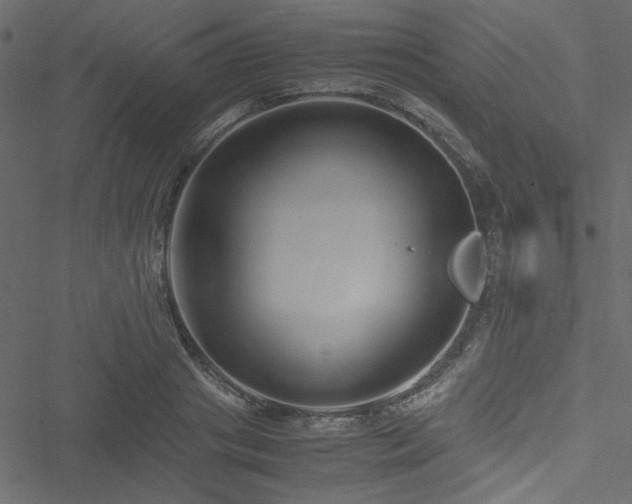 X0000051240841200506171108