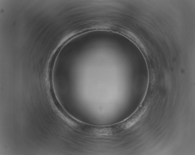 X0000051240843200506171108