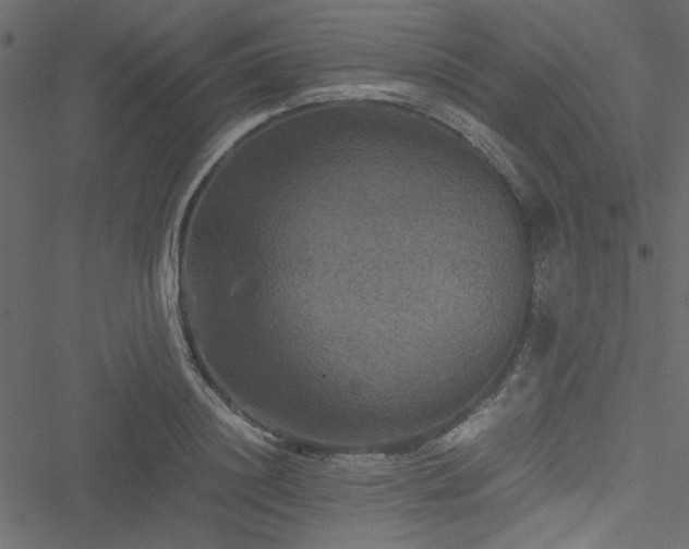 X0000051240844200506171108