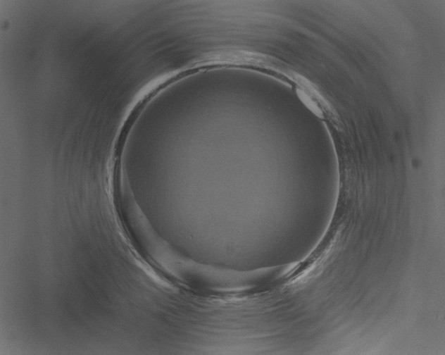 X0000051240846200506171108