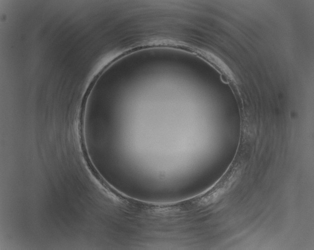 X0000051240847200506171108