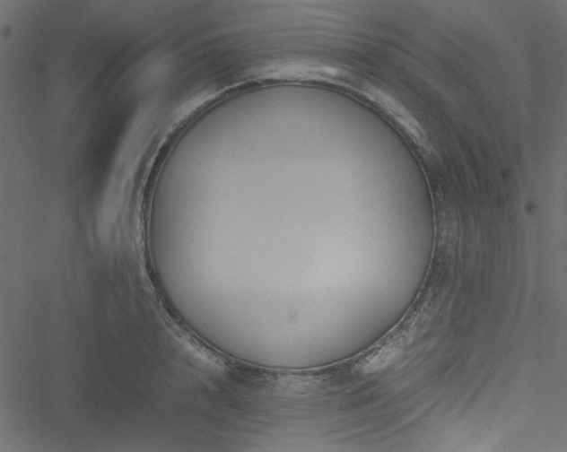 X0000051240848200506171108