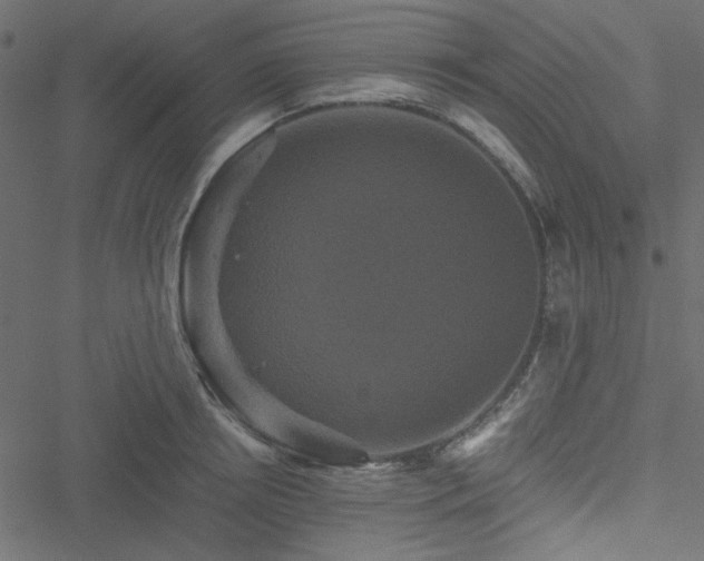 X0000051240850200506171108