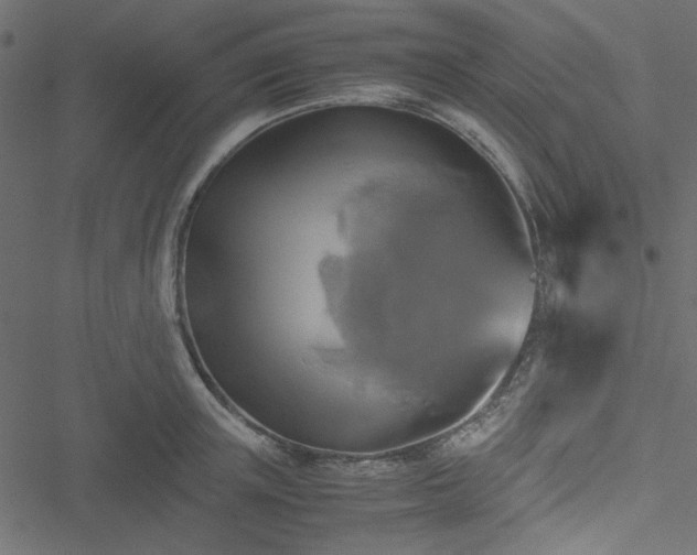 X0000051240851200506171108