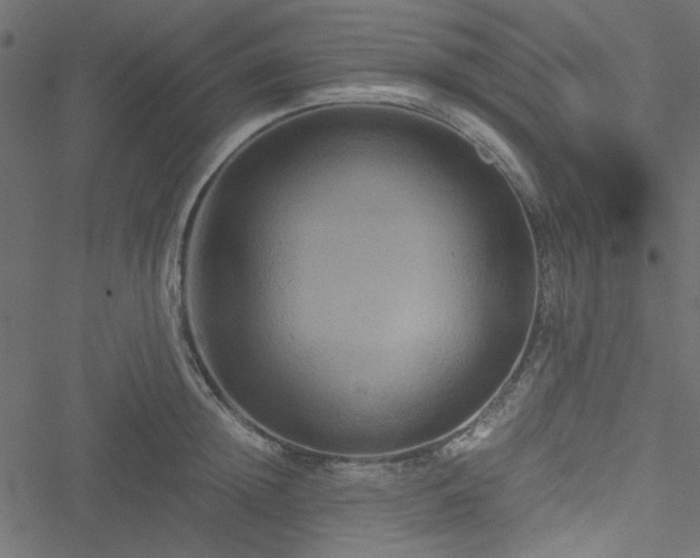 X0000051240852200506171108