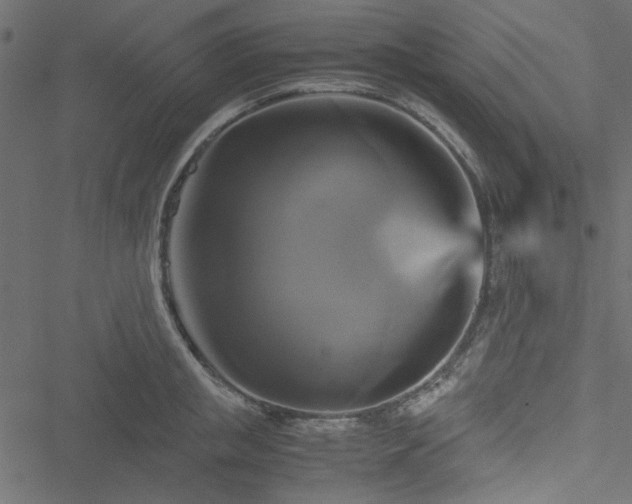 X0000051240853200506171108