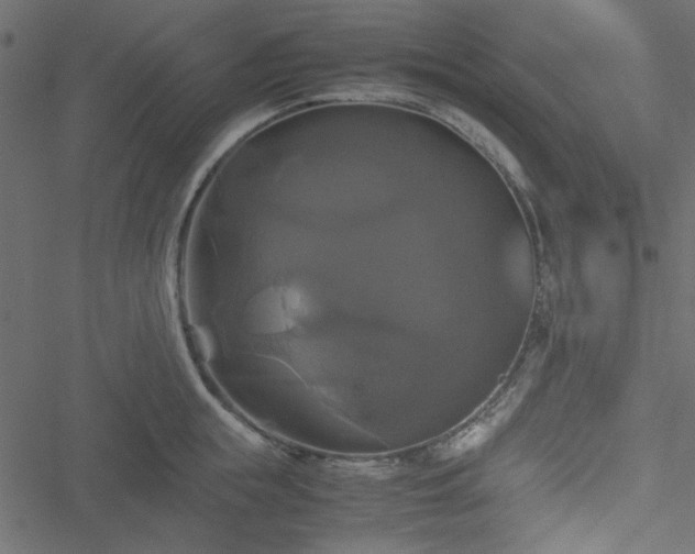 X0000051240855200506171108