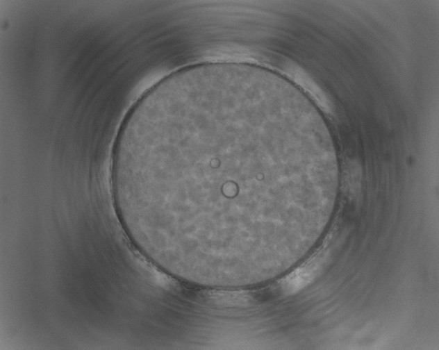 X0000051240856200506171108