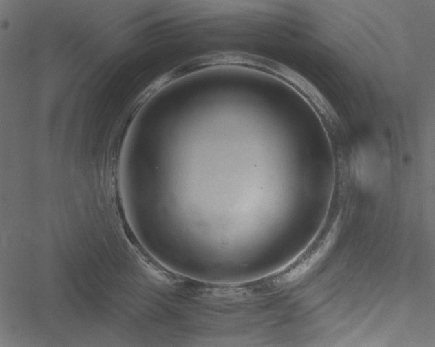 X0000051240857200506171108