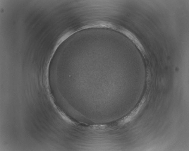 X0000051240858200506171108