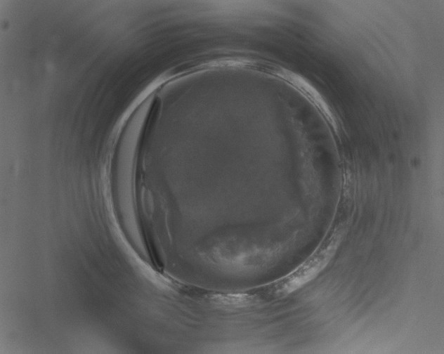 X0000051240859200506171108