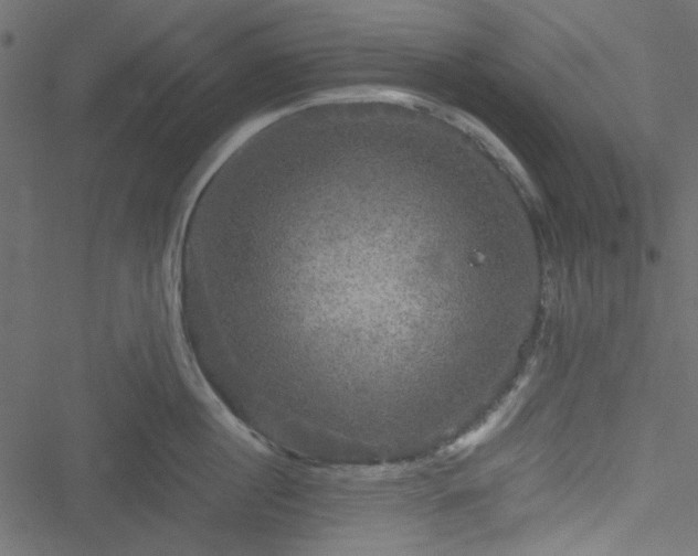 X0000051240860200506171108