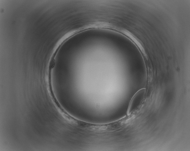 X0000051240861200506171108