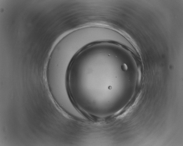 X0000051240862200506171108