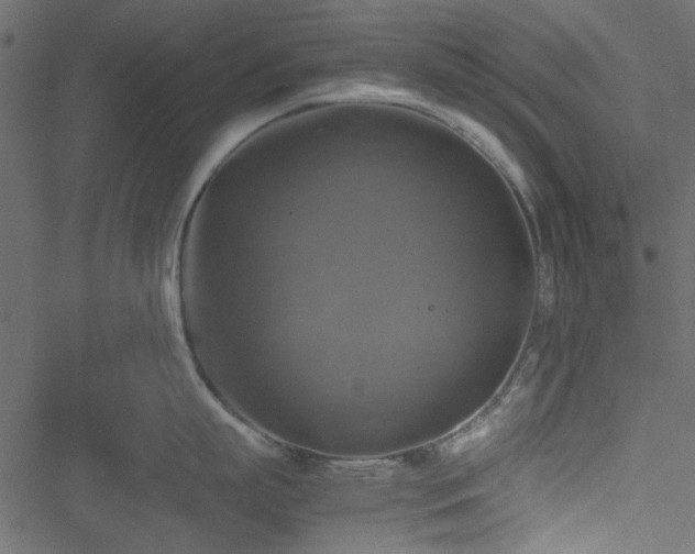 X0000051240863200506171108