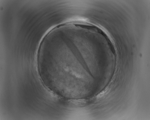 X0000051240864200506171108