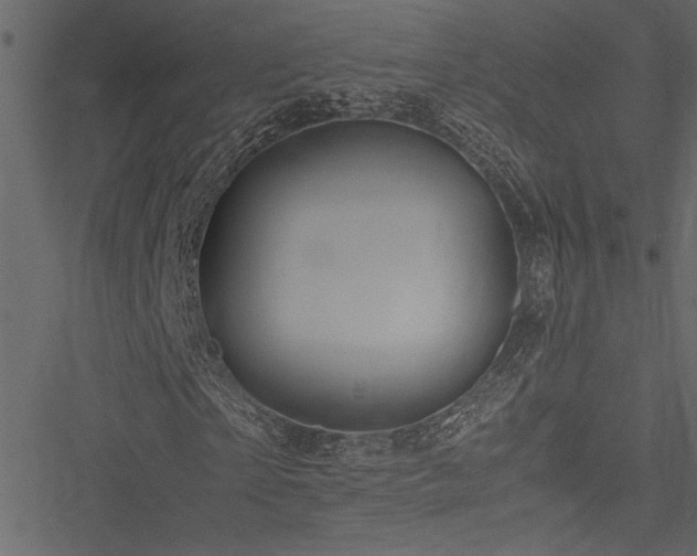 X0000051240865200506171108