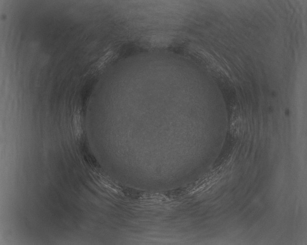 X0000051240866200506171108