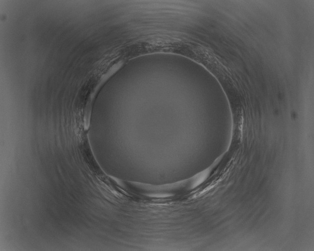 X0000051240868200506171108