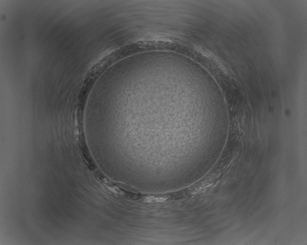 X0000051240870200506171108