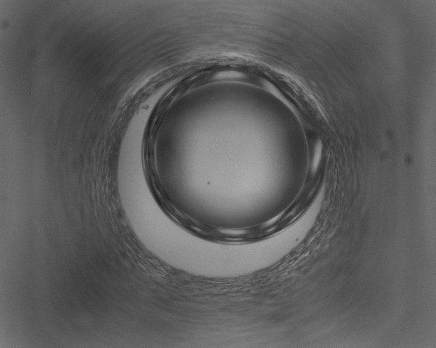 X0000051240871200506171108