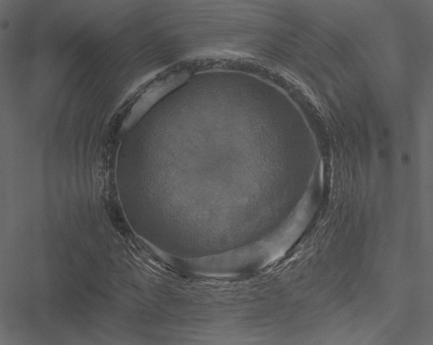 X0000051240872200506171108