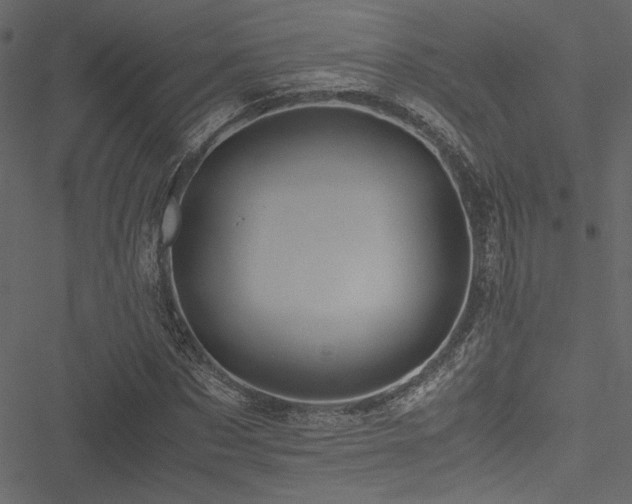 X0000051240873200506171107