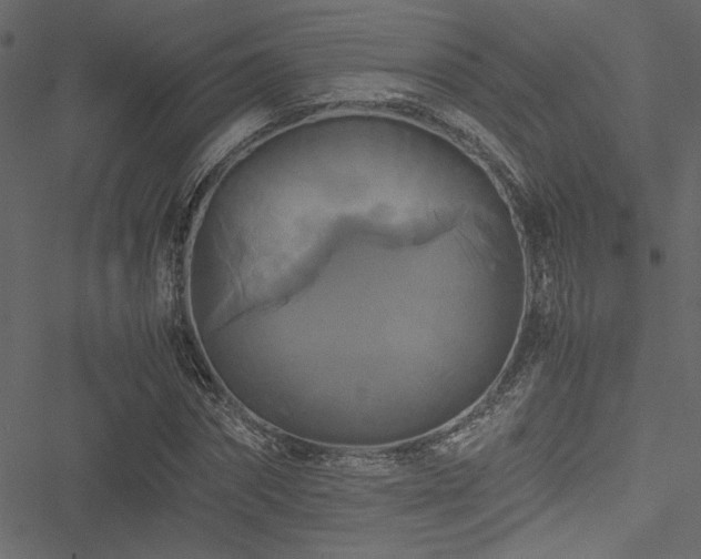 X0000051240874200506171107