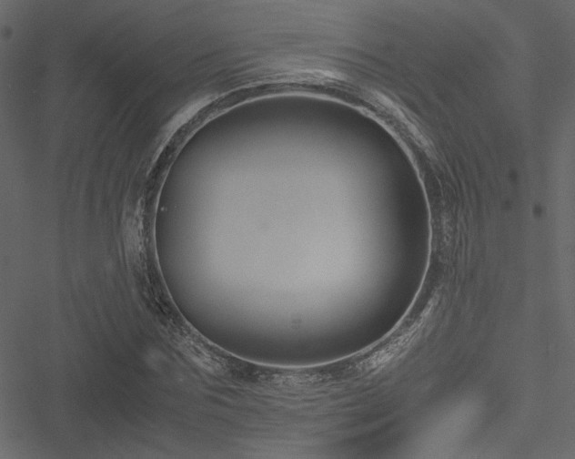 X0000051240875200506171107