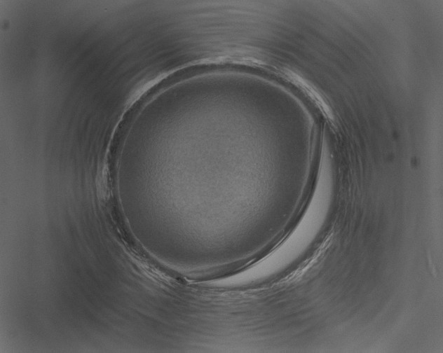 X0000051240876200506171107