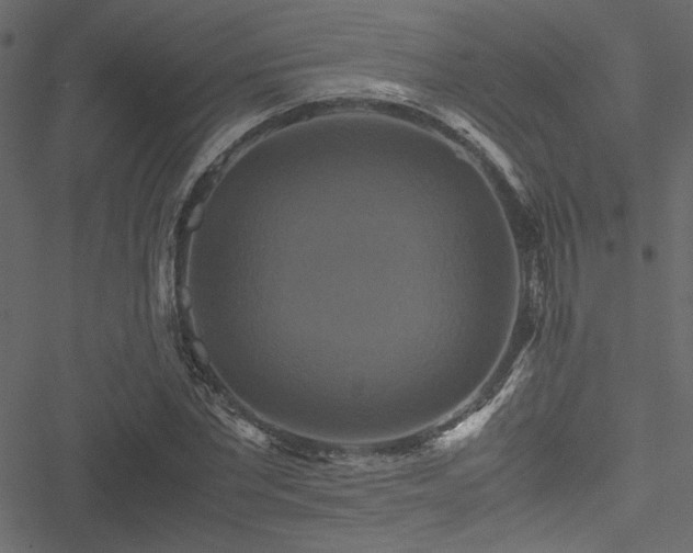 X0000051240877200506171107