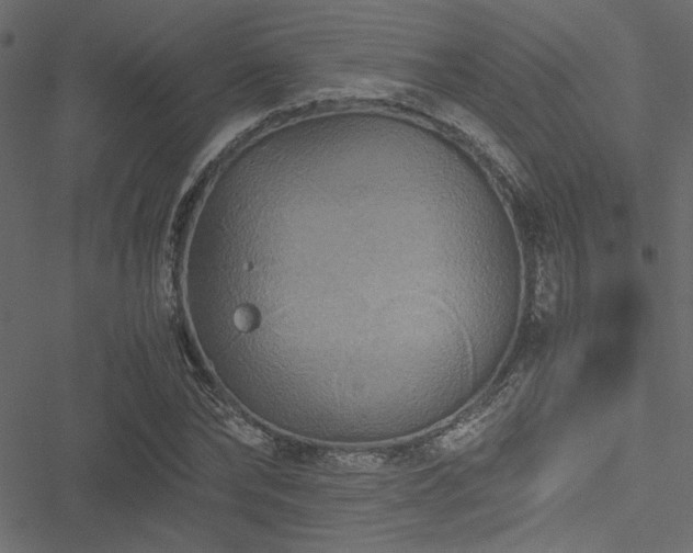 X0000051240878200506171107