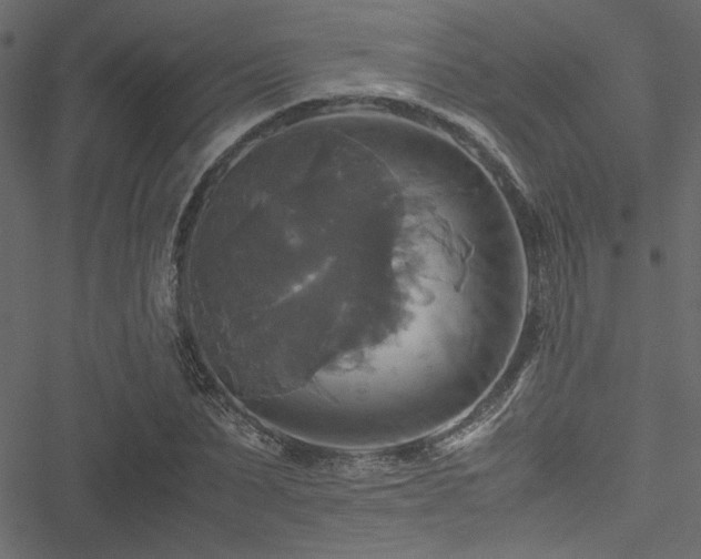 X0000051240879200506171107