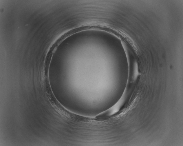 X0000051240880200506171107