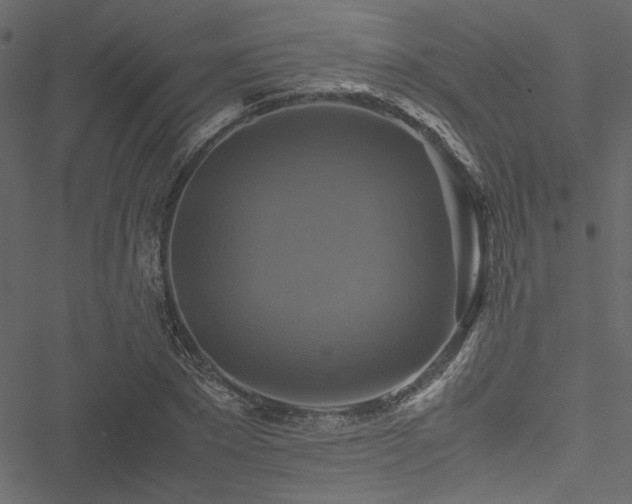 X0000051240881200506171107