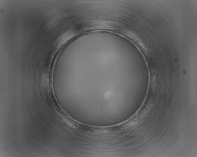 X0000051240882200506171107