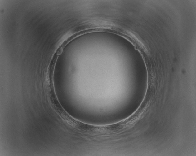 X0000051240883200506171107