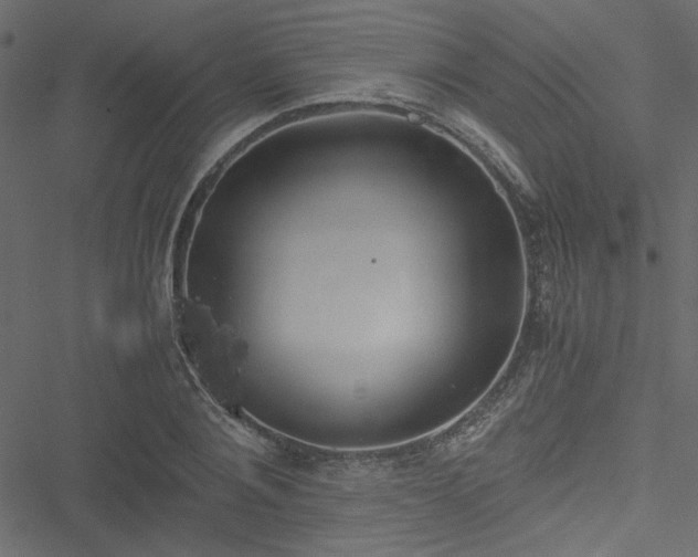 X0000051240884200506171107