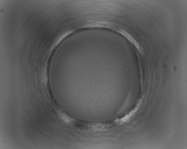 X0000051240885200506171107