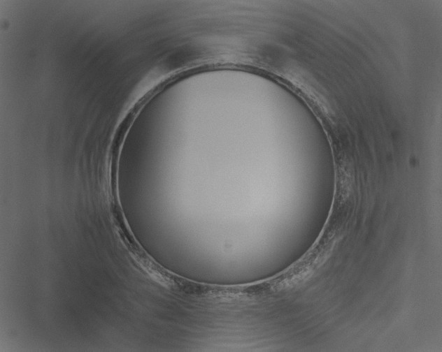 X0000051240886200506171107