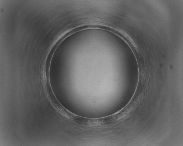 X0000051240887200506171107