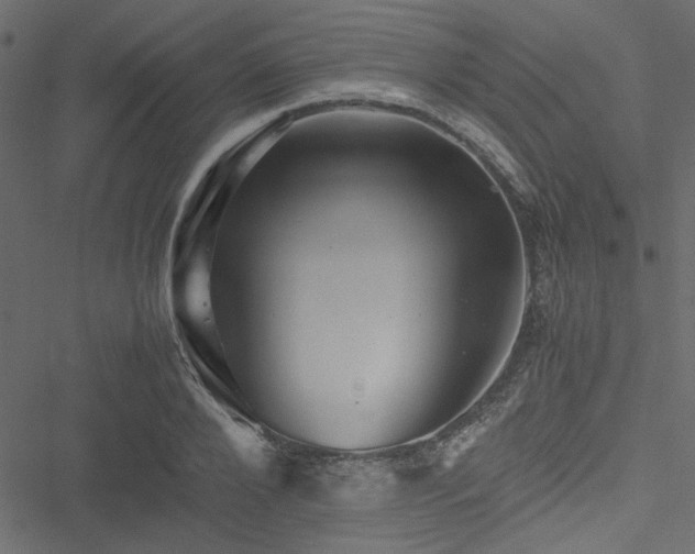 X0000051240888200506171107